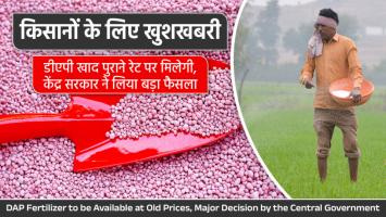 किसानों के लिए खुशखबरी: डीएपी खाद पुराने रेट पर मिलेगी, केंद्र सरकार ने लिया बड़ा फैसला