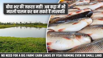 Fish farming: बीघा भर की जरूरत नहीं! अब कट्ठा में भी मछली पालन कर बन सकते हैं लाखपति