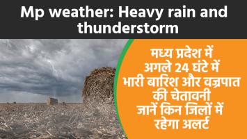 MP weather: मध्य प्रदेश में अगले 24 घंटे में भारी बारिश और वज्रपात की चेतावनी, जानें किन जिलों में रहेगा अलर्ट