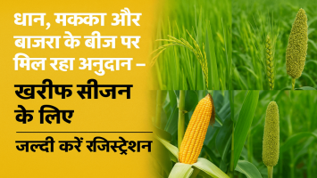 सरकार का बड़ा ऐलान: खरीफ फसलों के बीज पर किसानों को मिलेगा अनुदान, जानें कैसे उठाएं लाभ