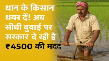 Want a Better Yield? Adopt Direct Seeding of Rice (DSR) – Government Offering ₹4500 Subsidy!