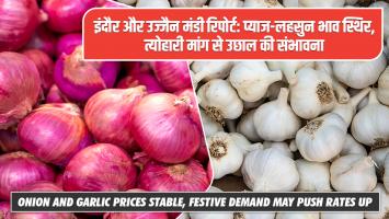 इंदौर और उज्जैन मंडी रिपोर्ट: प्याज-लहसुन भाव स्थिर, त्योहारी मांग से उछाल की संभावना