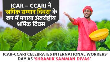 ICAR – CCARI ने 'श्रमिक सम्मान दिवस' के रूप में मनाया अंतर्राष्ट्रीय श्रमिक दिवस