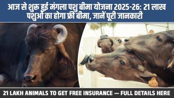 Mangala Pashu Bima Yojana 2025–26 Begins: 21 Lakh Animals to Get Free Insurance — Full Details Here