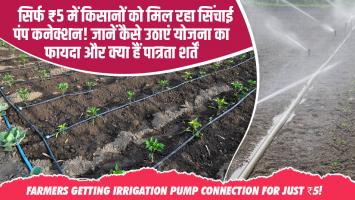 सिर्फ ₹5 में किसानों को मिल रहा सिंचाई पंप कनेक्शन! जानें कैसे उठाएं योजना का फायदा और क्या हैं पात्रता शर्तें