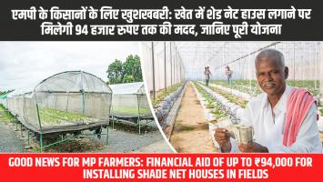 एमपी के किसानों के लिए खुशखबरी: खेत में शेड नेट हाउस लगाने पर मिलेगी 94 हजार रुपए तक की मदद, जानिए पूरी योजना