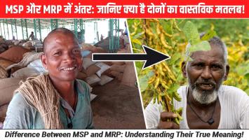 MSP और MRP में अंतर: जानिए क्या है दोनों का वास्तविक मतलब!