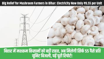 Big Relief for Mushroom Farmers in Bihar: Electricity Now Only ₹0.55 per Unit