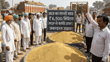 सरसों के भाव में जोरदार उछाल