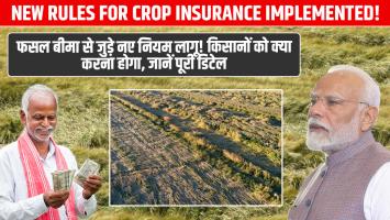 फसल बीमा से जुड़े नए नियम लागू! किसानों को क्या करना होगा, जानें पूरी डिटेल