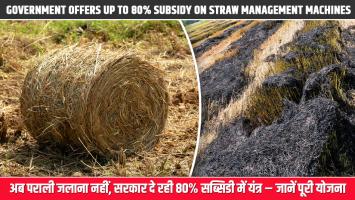 No More Stubble Burning: Government Offers Up to 80% Subsidy on Straw Management Machines – Know the Full Scheme
