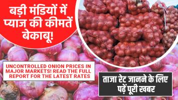 Onion price: बड़ी मंडियों में प्याज की कीमतें बेकाबू, ताजा रेट जानने के लिए पढ़ें पूरी खबर