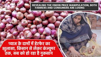 Onion mandi bhav today: प्याज के दामों में हेरफेर का खुलासा, किसान से लेकर कंज्यूमर तक, सब को हो रहा है नुकसान