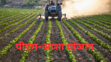 Big Decision by Central Government! PM-AASHA Scheme Extended Till 2025-26 – Know the Benefits for Farmers