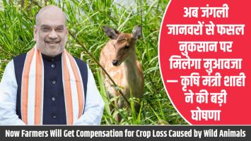Now Farmers Will Get Compensation for Crop Loss Caused by Wild Animals — Major Announcement by Agriculture Minister Shahi
