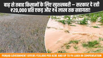 बाढ़ से तबाह किसानों के लिए खुशखबरी – सरकार दे रही ₹20,000 प्रति एकड़ और ₹4 लाख तक सहायता!