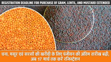 MSP for Mustard and Chickpeas