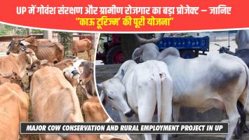 UP में गोवंश संरक्षण और ग्रामीण रोजगार का बड़ा प्रोजेक्ट – जानिए ‘काऊ टूरिज्म’ की पूरी योजना"