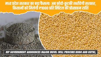 मध्य प्रदेश सरकार का बड़ा फैसला: अब कोदो-कुटकी खरीदेगी सरकार, किसानों को मिलेगी ₹1000 प्रति क्विंटल की प्रोत्साहन राशि