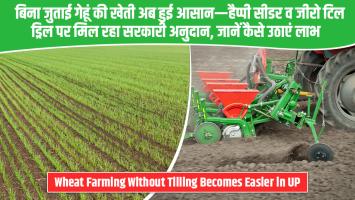 Wheat Farming Without Tilling Becomes Easier in UP — Government Offering Subsidy on Happy Seeder & Zero-Till Drill: Know How to Avail the Benefit