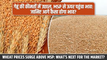 wheat prices