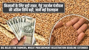 किसानों के लिए बड़ी राहत, गेहूं उपार्जन पंजीयन की अंतिम तिथि बढ़ी, जानें नई डेडलाइन