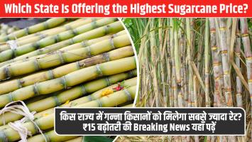 Which State Is Offering the Highest Sugarcane Price? ₹15 Hike Announced — Full Breaking News Here