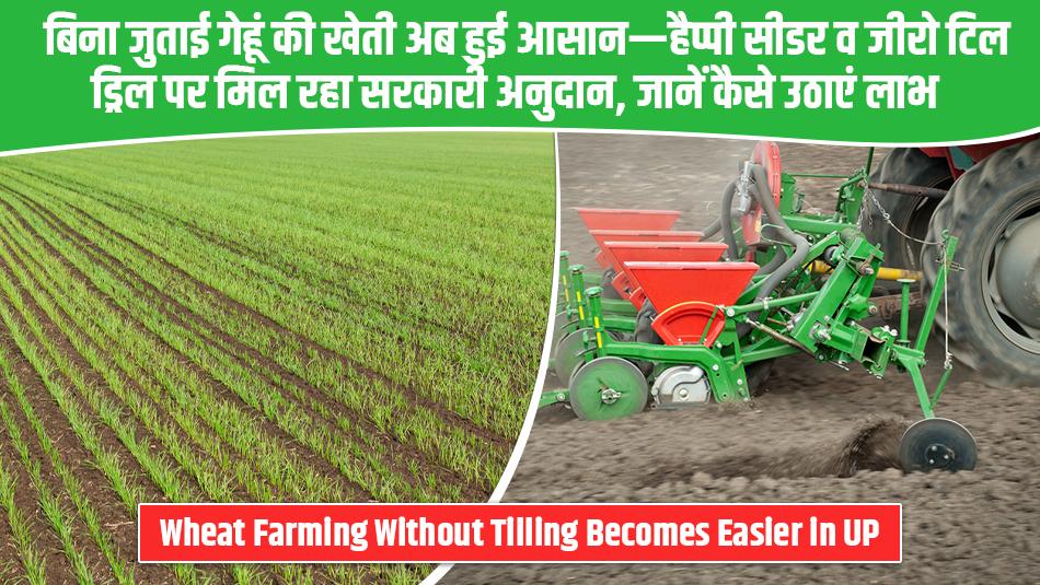 Wheat Farming Without Tilling Becomes Easier in UP — Government Offering Subsidy on Happy Seeder & Zero-Till Drill: Know How to Avail the Benefit