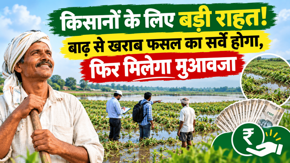 Crop Damage Compensation to Be Provided! UP Government Directs Survey ...