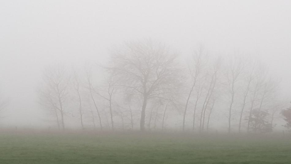 UP Weather Today: उत्तर प्रदेश में कड़ाके की सर्दी, नए साल से पहले बढ़ी ठंड, मौसम विभाग का अलर्ट