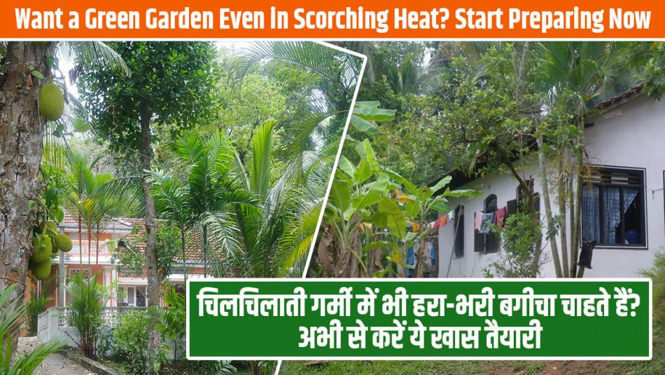 Want a Green Garden Even in Scorching Heat? Start Preparing Now! Want a Green Garden Even in Scorching Heat? Start Preparing Now!