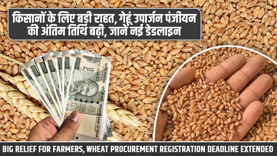 किसानों के लिए बड़ी राहत, गेहूं उपार्जन पंजीयन की अंतिम तिथि बढ़ी, जानें नई डेडलाइन